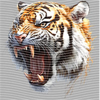 Animal Integration-DW 1808